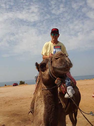 Camel, Morroco, North Africa,  Loves GRINGO!!